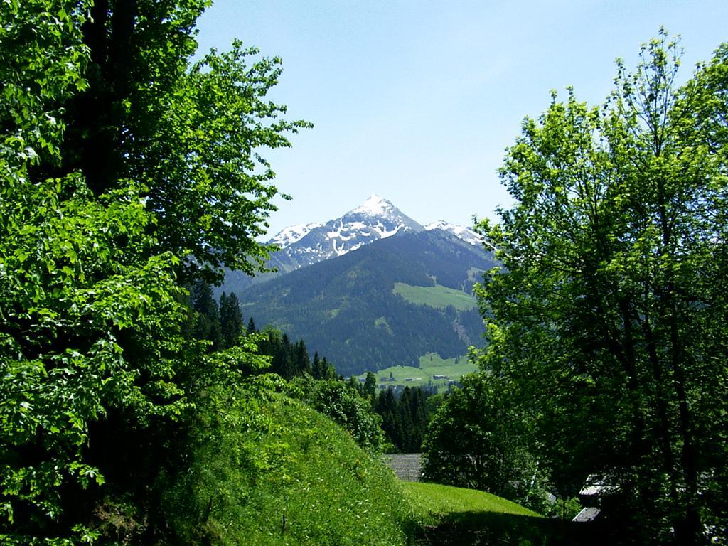 Ferienwohnungen Unterfeld Alpbach Dış mekan fotoğraf